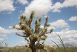 242-05-015 Gene Autry Rd - Photo 24