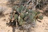 242-05-015 Gene Autry Rd - Photo 27
