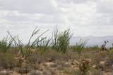 242-05-015 Gene Autry Rd - Photo 32