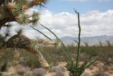 242-05-015 Gene Autry Rd - Photo 8