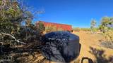 19006 Cattle Crossing Rd - Photo 35