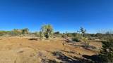 19006 Cattle Crossing Rd - Photo 42