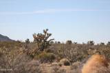 244-09137a Martin Dr - Photo 49