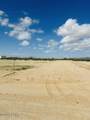 68435 Wyatt Earp Rd - Photo 5