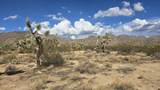 208-27196d Kinard Rd - Photo 32
