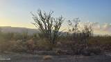 245-21-135 Knox Dr - Photo 10