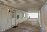 3104 William Dr - Photo 43