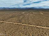 242-06-008 Wild Bill Rd - Photo 39
