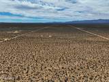 242-06-008 Wild Bill Rd - Photo 42