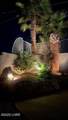 3040 Mirage Dr - Photo 69