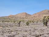 1280 Acres 329-02-018 White Hills Rd - Photo 20