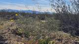 3035 Castle Butte Rd - Photo 9