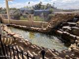 670 Pena Ln - Photo 29