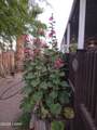 70782 Fir Ave - Photo 20