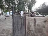 70782 Fir Ave - Photo 26