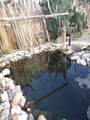 70782 Fir Ave - Photo 33