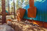 6540 Crumb Rd - Photo 6