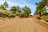 6795 Ponderosa Dr - Photo 68