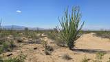 242-06-008 Wild Bill Rd - Photo 3