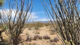 800 Sagebrush Dr - Photo 3