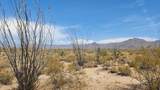 800 Sagebrush Dr - Photo 4