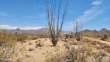 800 Sagebrush Dr - Photo 5