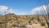 800 Sagebrush Dr - Photo 6