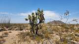 800 Sagebrush Dr - Photo 7