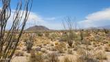 800 Sagebrush Dr - Photo 8