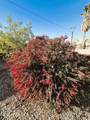 180 Sunrise St - Photo 44