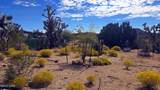 8375 Cholla Dr - Photo 22