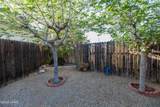 31689 Carefree Dr - Photo 10