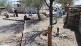 565 Adobe Ln - Photo 9
