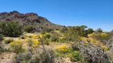 4811 Sierra Pinta Rd - Photo 71