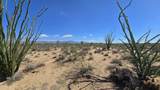 242-06-008 Wild Bill Rd - Photo 10