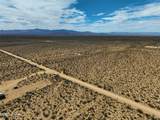 242-06-008 Wild Bill Rd - Photo 37