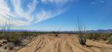 Lot 198 Cholla / Cortaro Rd - Photo 1