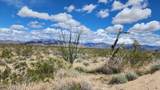 Lot 198 Cholla / Cortaro Rd - Photo 7