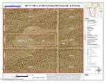 Lot 198 Cholla / Cortaro Rd - Photo 8