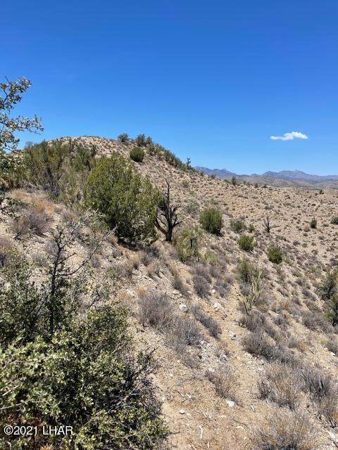 Lot 85 Cougar Dr - Photo 1