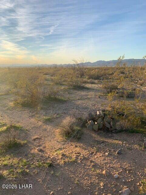 0 Cholla Dr - Photo 1