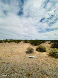 29205 Stage Coach Rd - Photo 1