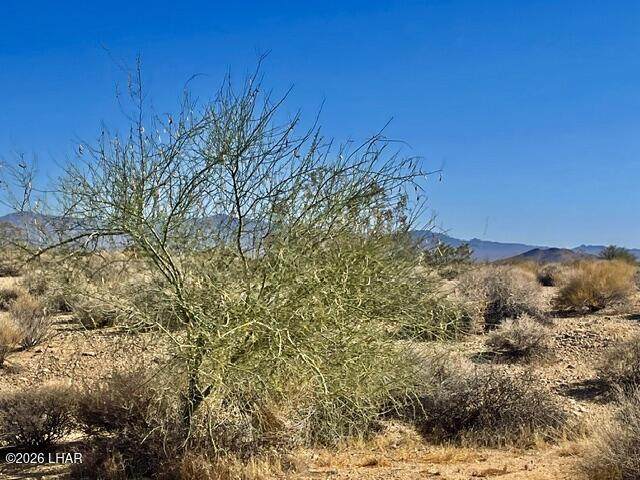 https://bt-photos.global.ssl.fastly.net/lakehavasu/orig_boomver_1_1041162-2.jpg