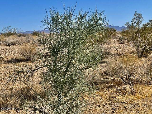 https://bt-photos.global.ssl.fastly.net/lakehavasu/orig_boomver_1_1041162-2.jpg