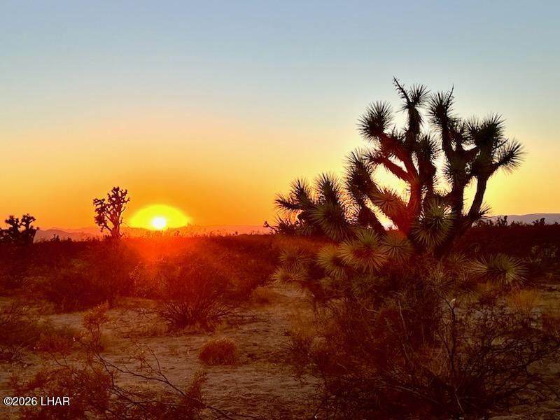 https://bt-photos.global.ssl.fastly.net/lakehavasu/orig_boomver_1_1041659-2.jpg