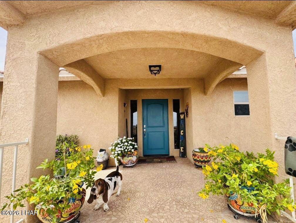 https://bt-photos.global.ssl.fastly.net/lakehavasu/orig_boomver_1_1041745-2.jpg