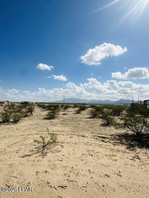 68435 Wyatt Earp Rd - Photo 1