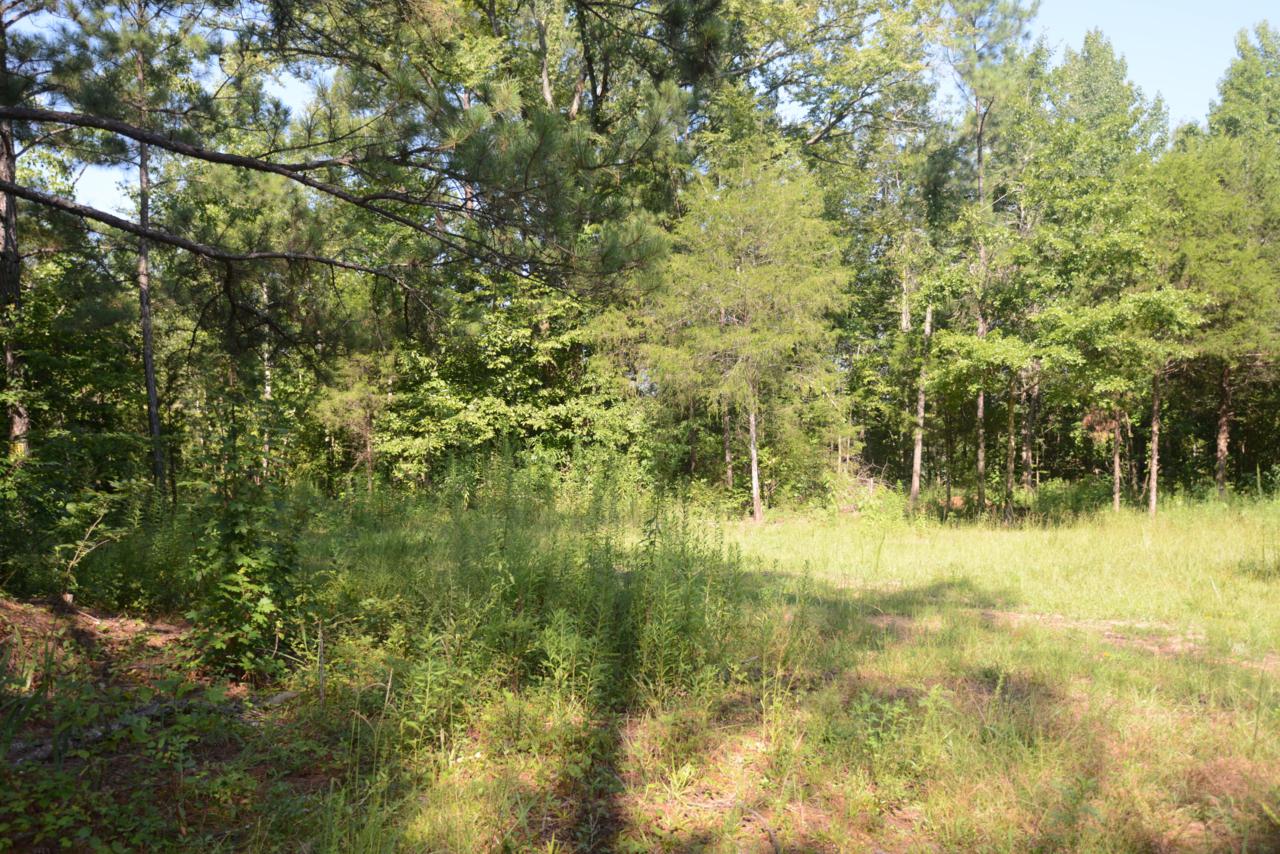 1389 Bethlehem Rd - Photo 1