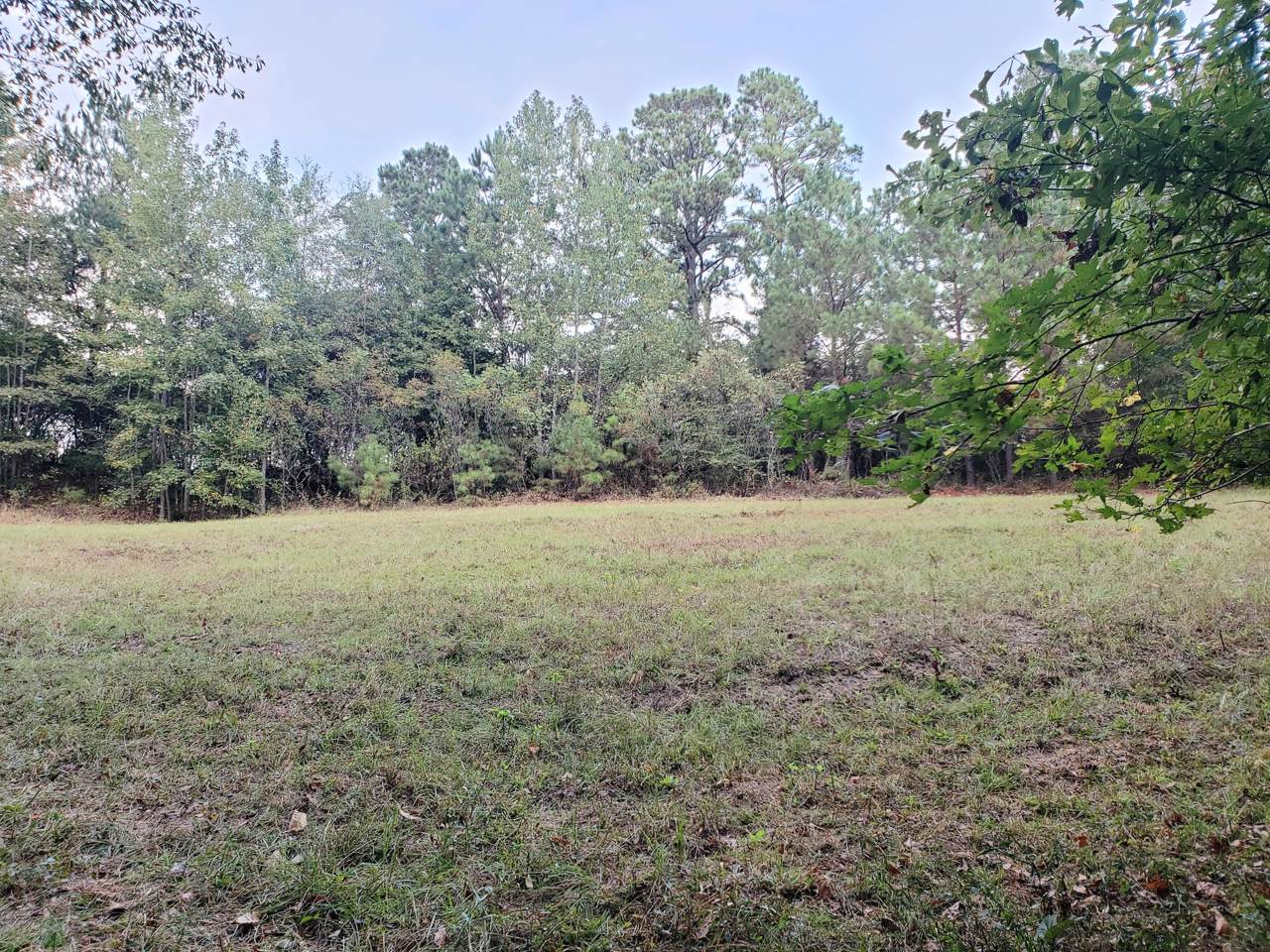 Lot 5 Pinehurst St - Photo 1