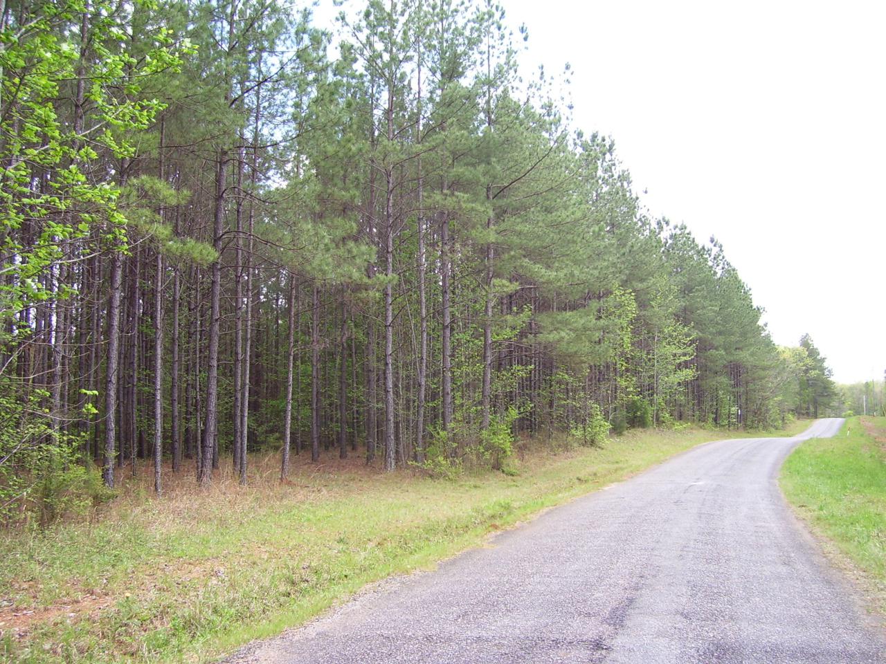 Lashley Road - Photo 1